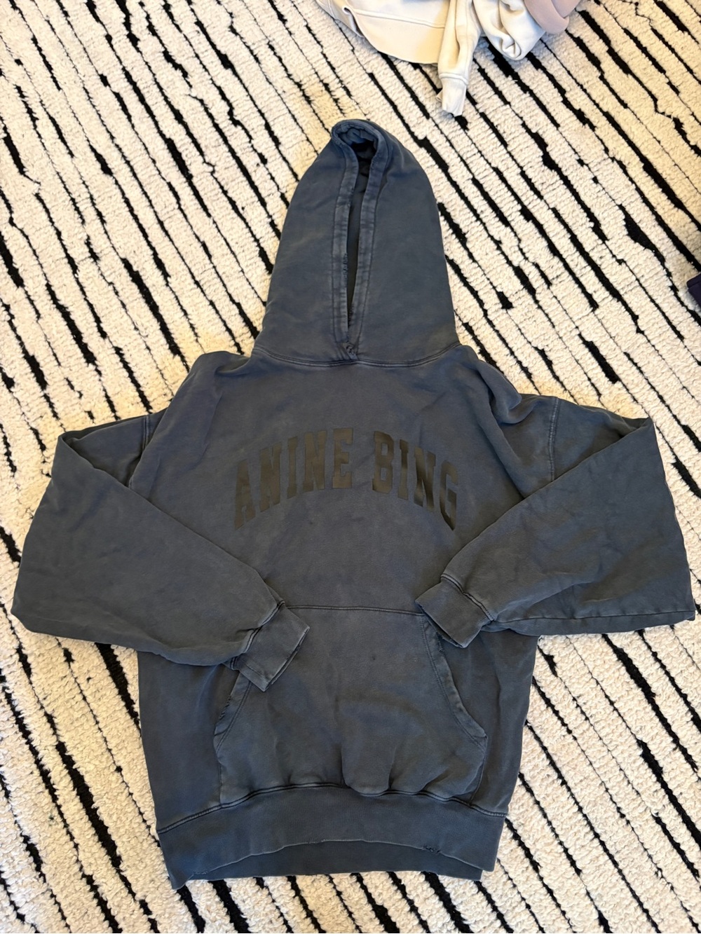 Anine Bing Men's Washed Charcoal Crewneck Hoodie